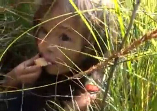 俄3岁小女孩被困森林11天 宠物狗守护终获救(图)